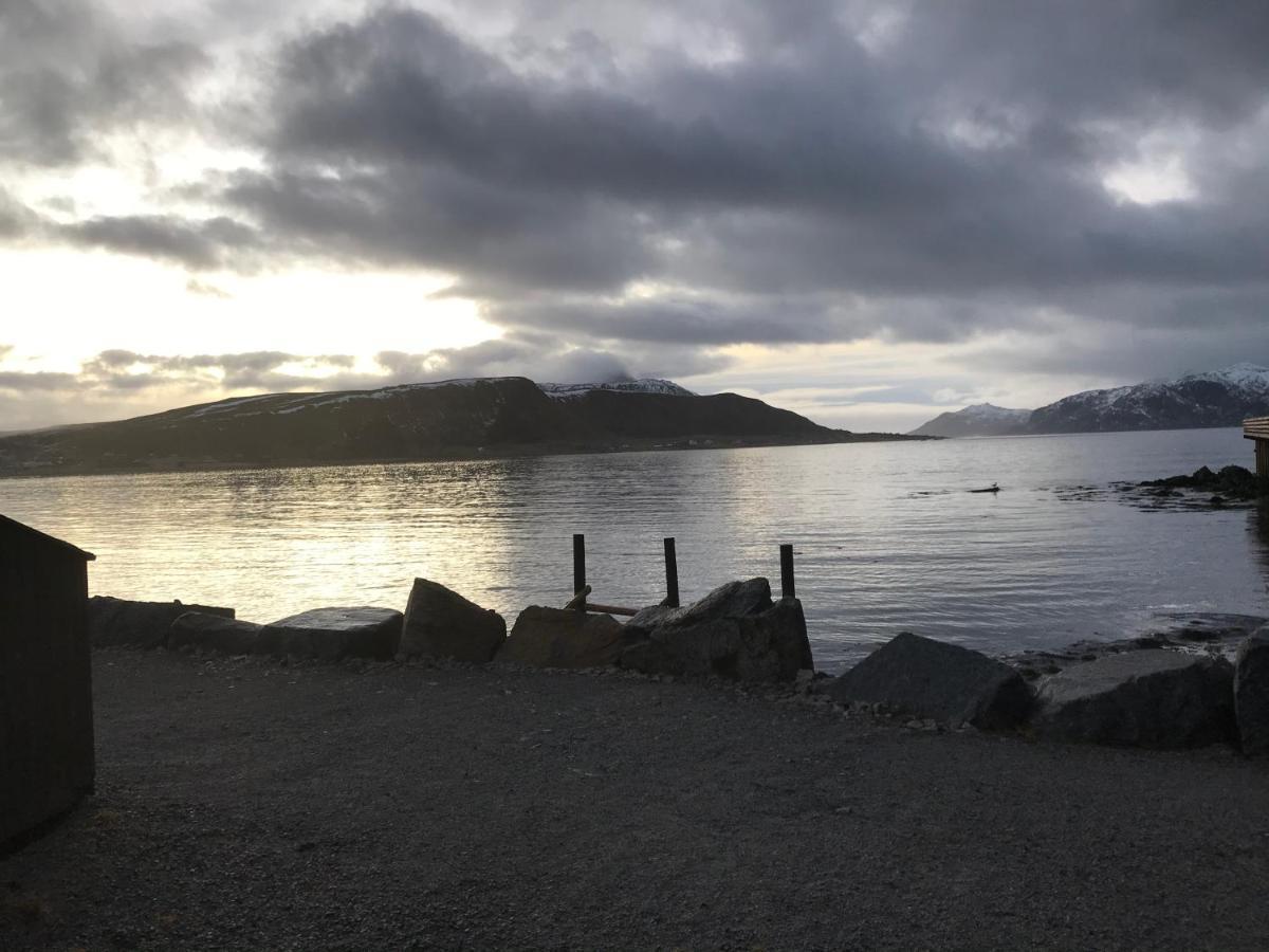 Lofoten Havfiske 레크네스 외부 사진