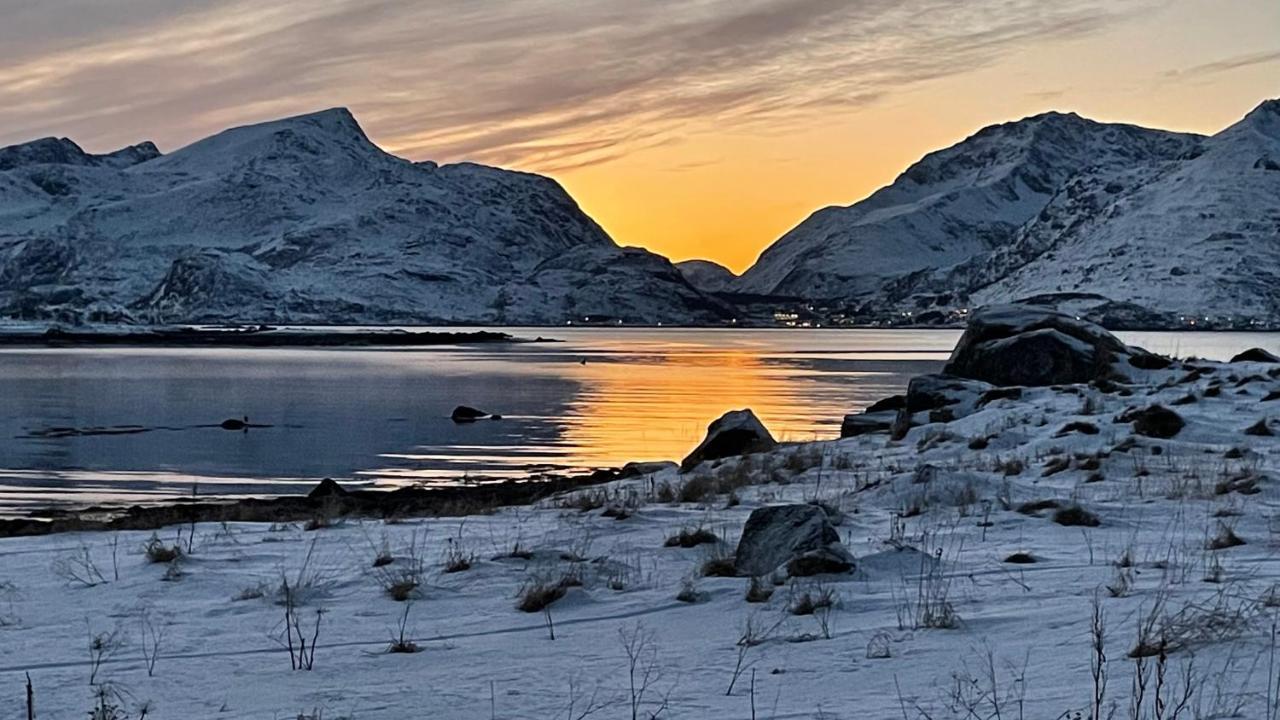 Lofoten Havfiske 레크네스 외부 사진