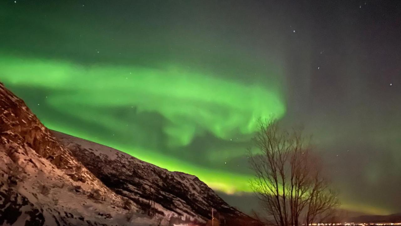 Lofoten Havfiske 레크네스 외부 사진