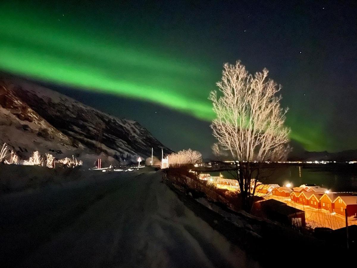 Lofoten Havfiske 레크네스 외부 사진