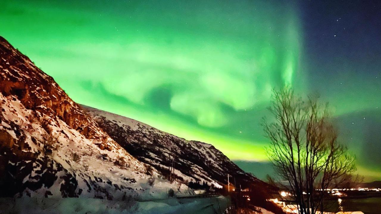 Lofoten Havfiske 레크네스 외부 사진